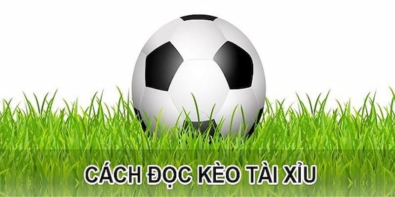 cách đọc kèo bóng đá Cách đọc kèo bóng tài xỉu